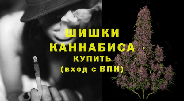 прущий лед Вяземский