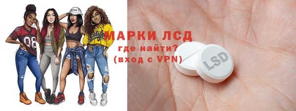 прущий лед Вяземский
