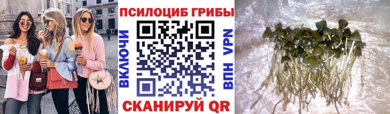 Галлюциногенные грибы MAGIC MUSHROOMS  Гусь-Хрустальный 
